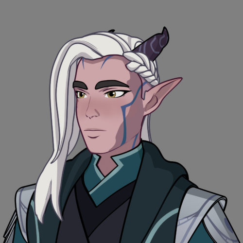 Character Reveal: Moonshadow Elf Assassins – The Dragon Prince